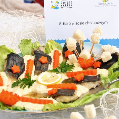 opolski_karp_2013_55